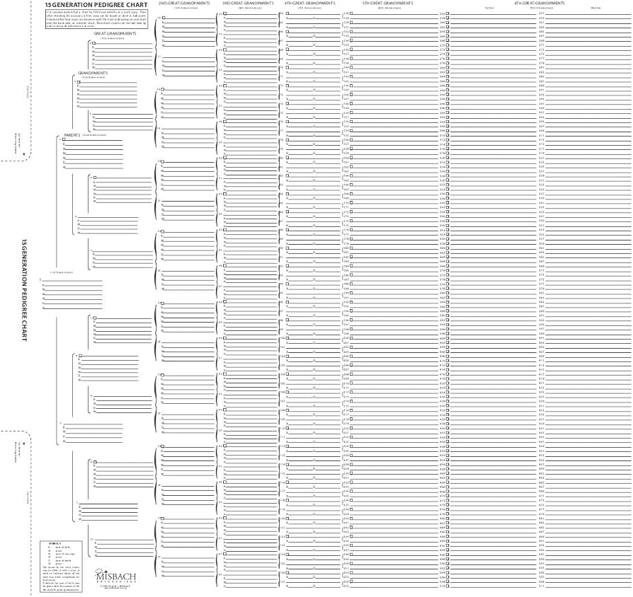 Amazon TreeSeek 15 Generation Pedigree Chart Blank Genealogy Forms For Family History And Ancestry Work Office Products Amazon TreeSeek 15 Generation Pedigree Chart Blank Genealogy Forms For Family History And Ancestry Work Office Products