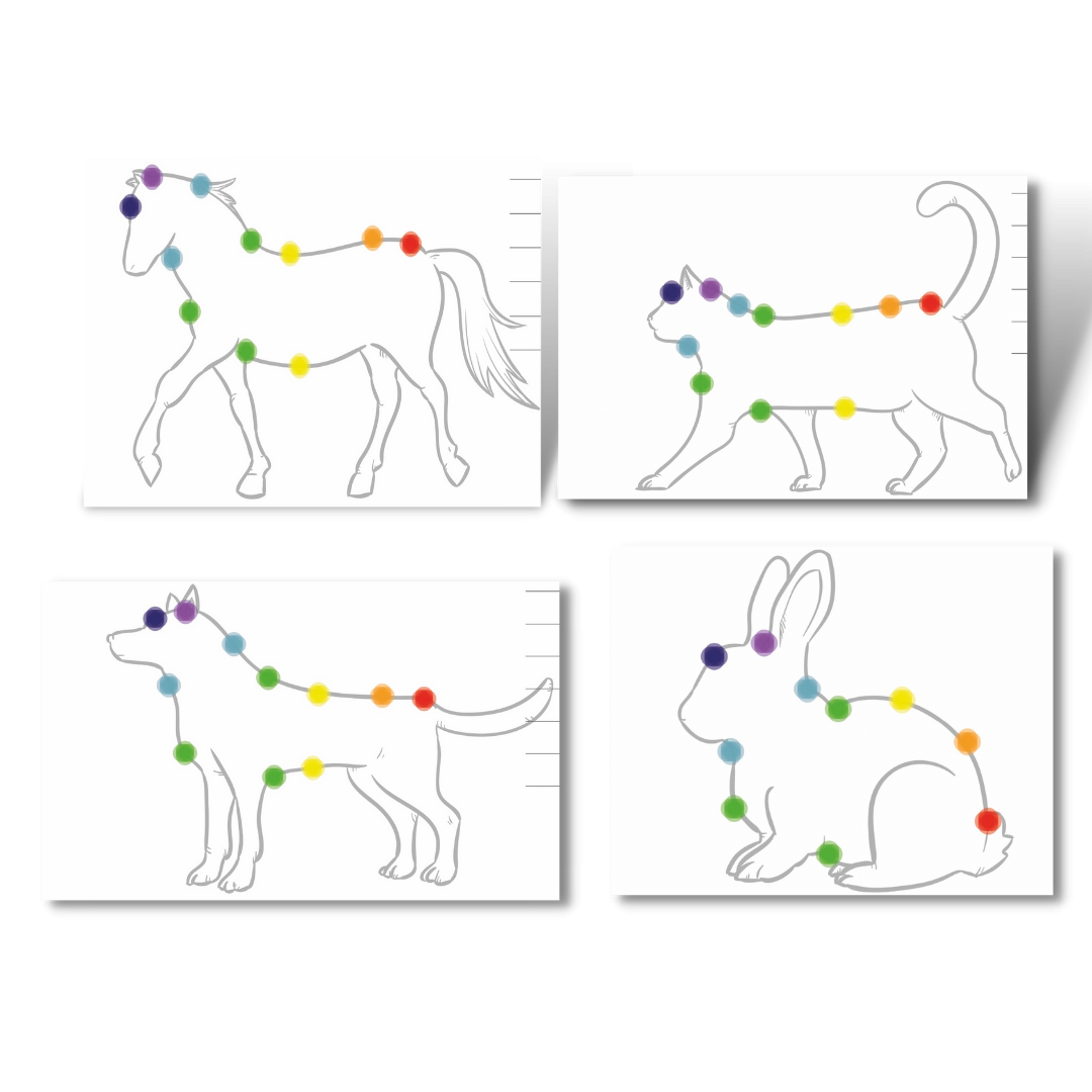 April Walker Reiki Master Teacher