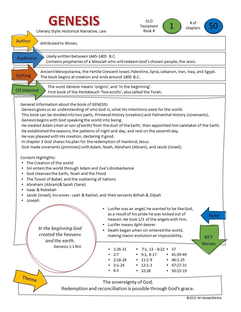 Bible Teaching Sheets The Old Testament NIV Edition