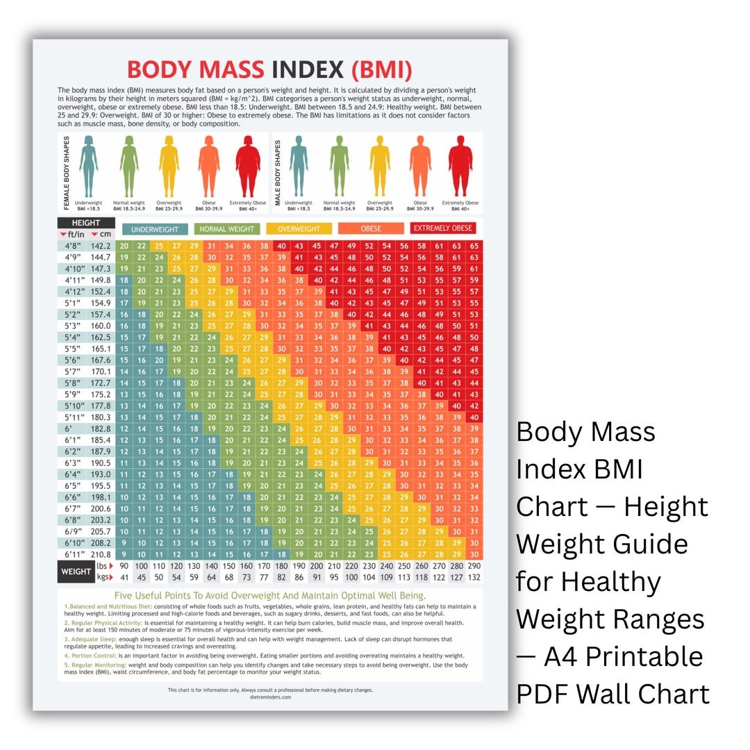 BMI Chart Height Weight Guide Printable A4 PDF Etsy Israel