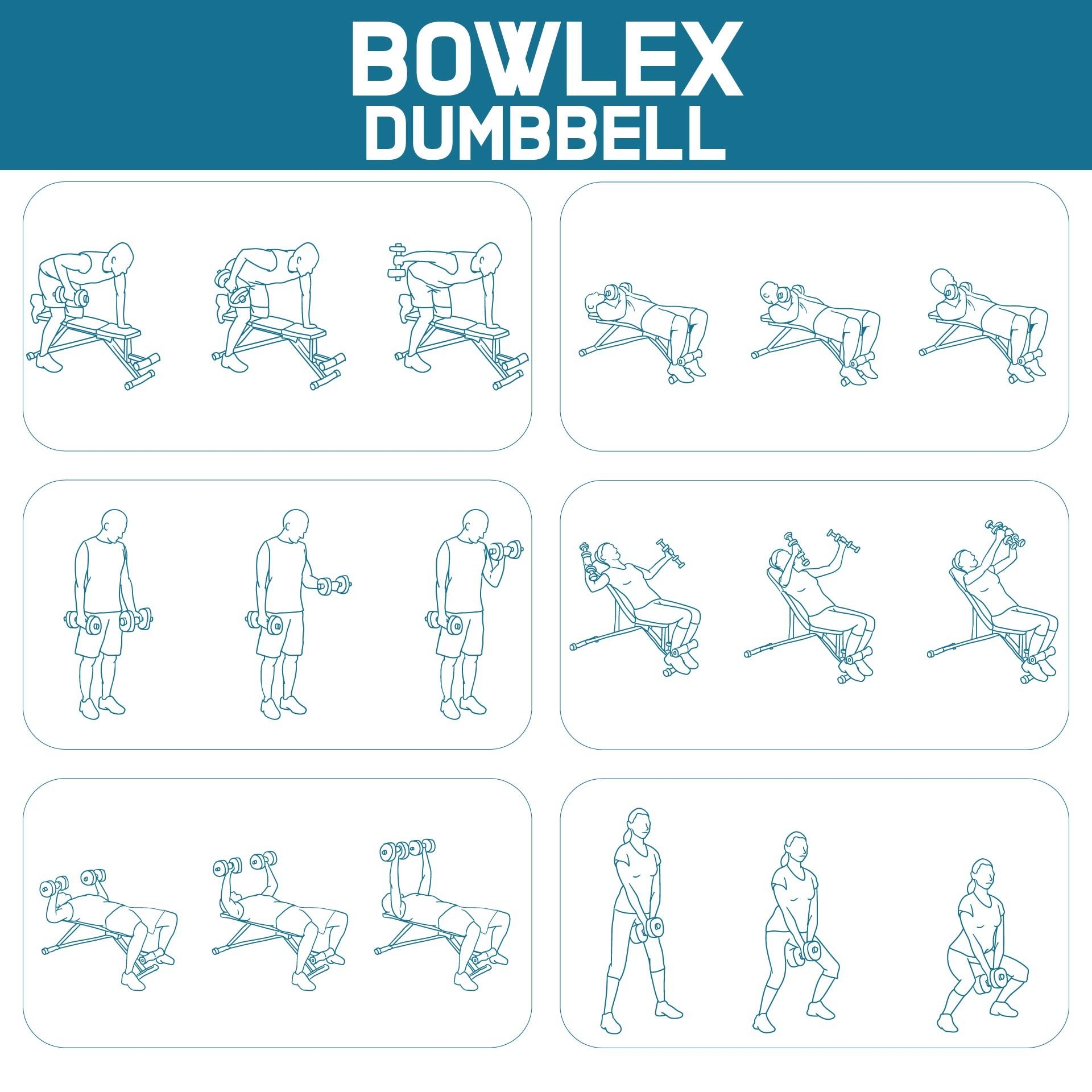 Bowflex Workout Routine Pdf Upper Body Workout Dumbbell Workout Chart Pdf Dumbbell Total Body