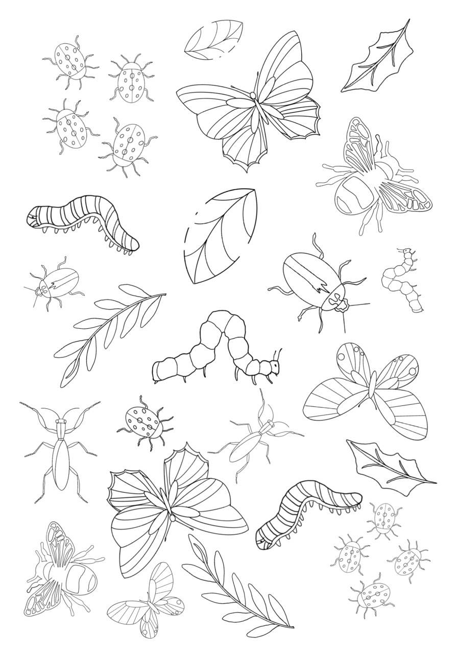 Printable Bug Coloring Sheets