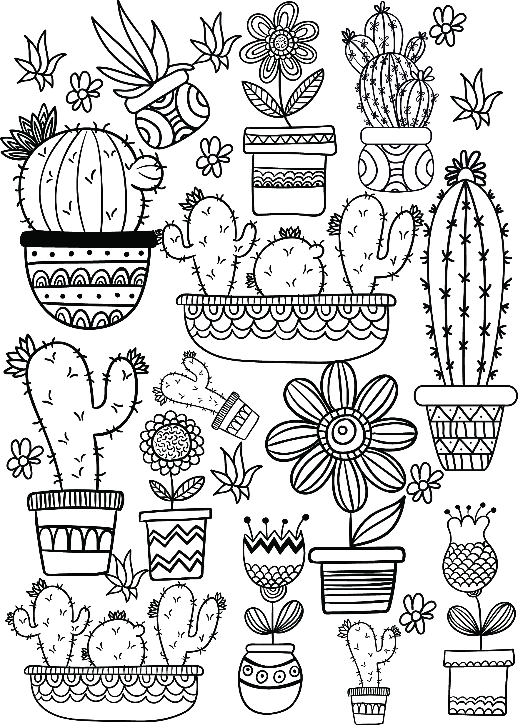 Cactus And Succulent Printable Adult Coloring Pages