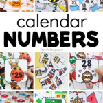 Calendar Numbers For The Whole Year Fun A Day 