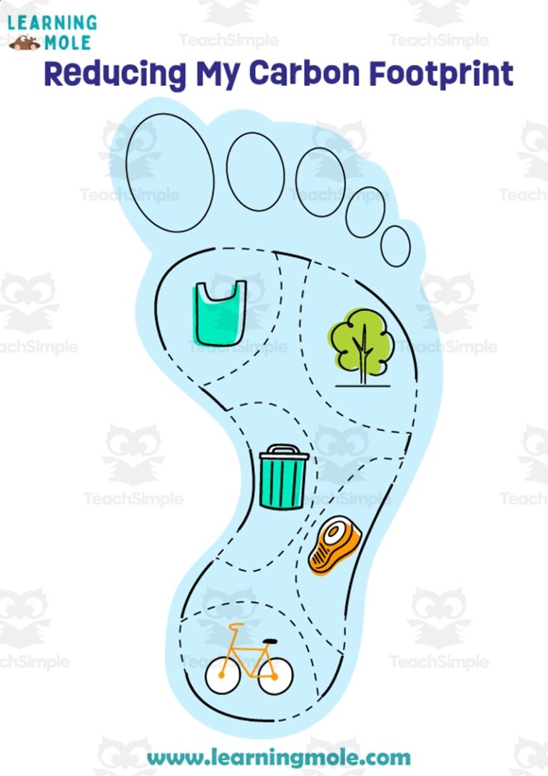 Carbon Footprint Activity By Teach Simple