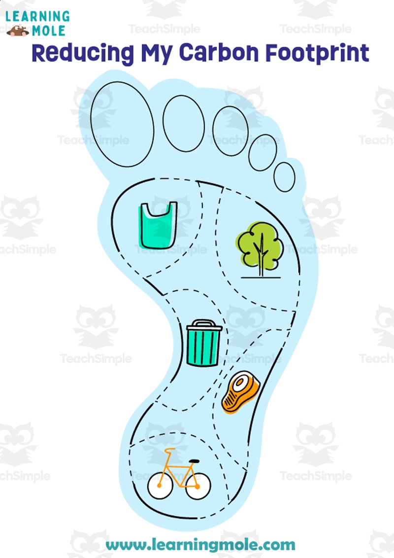 Carbon Footprint Activity By Teach Simple