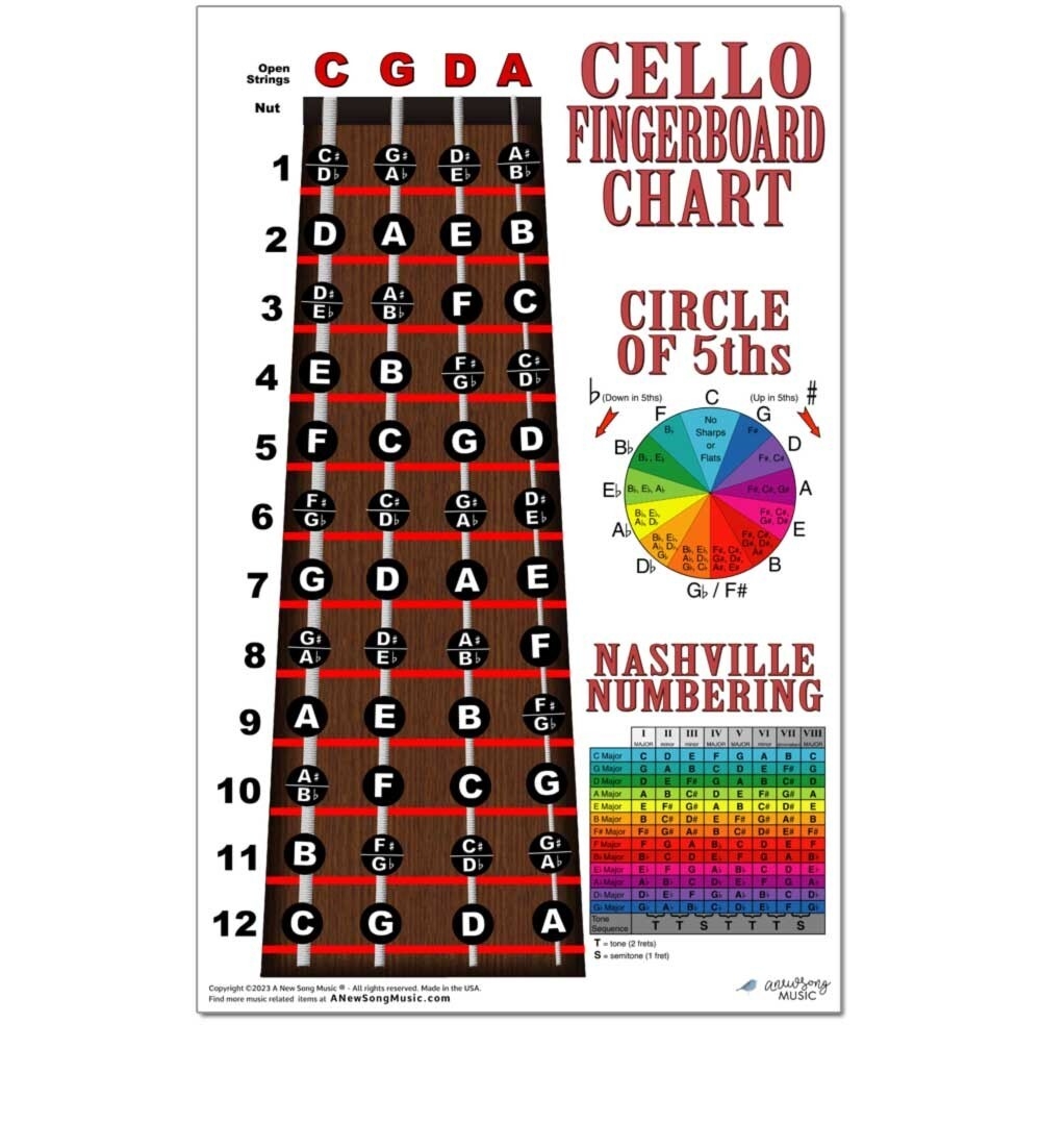Cello Fingerboard Notes Instructional Poster Beginner Wall Chart Theory EBay