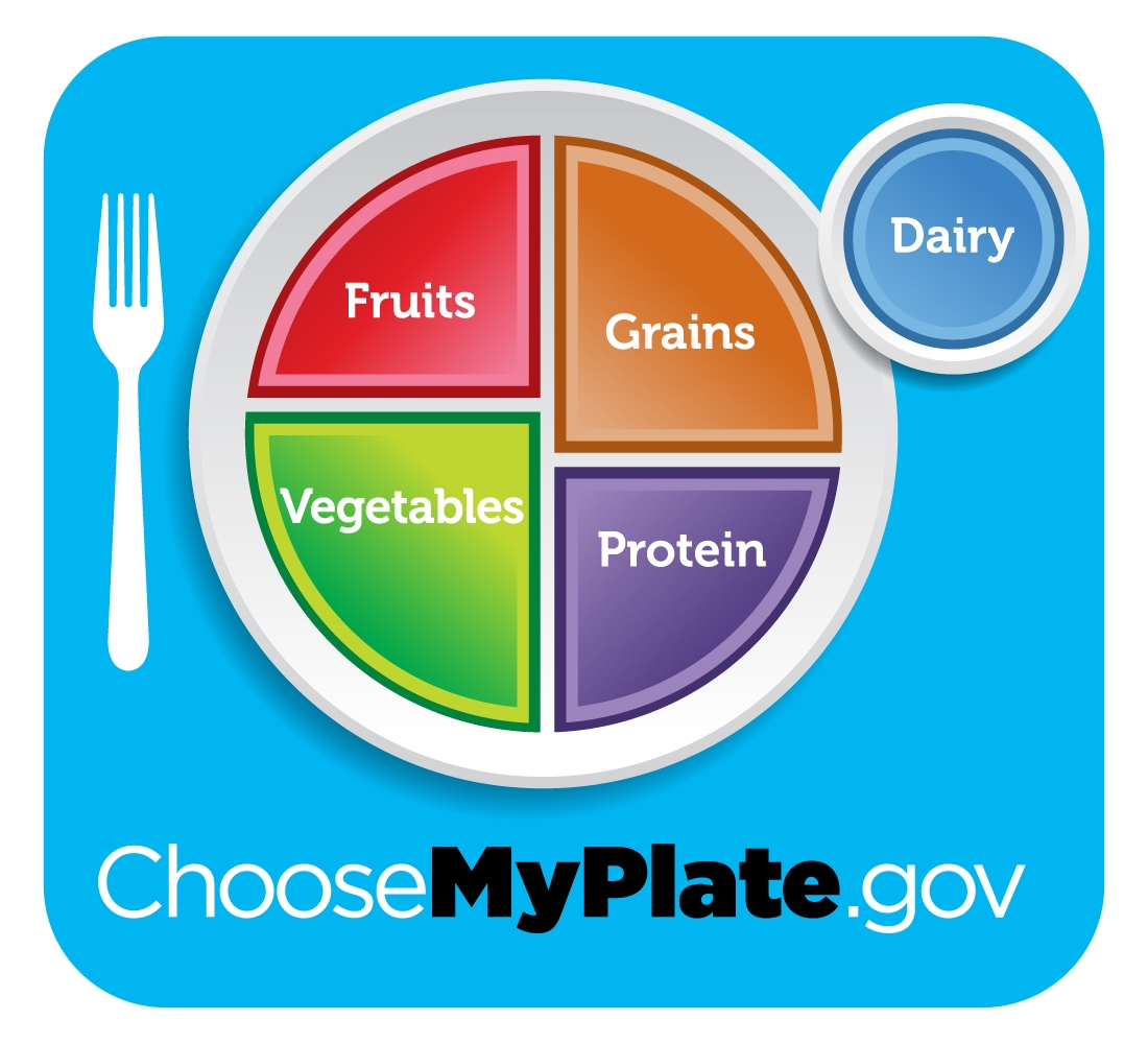 Choose MyPlate Lessons Worksheets Activities FamilyConsumerSciences