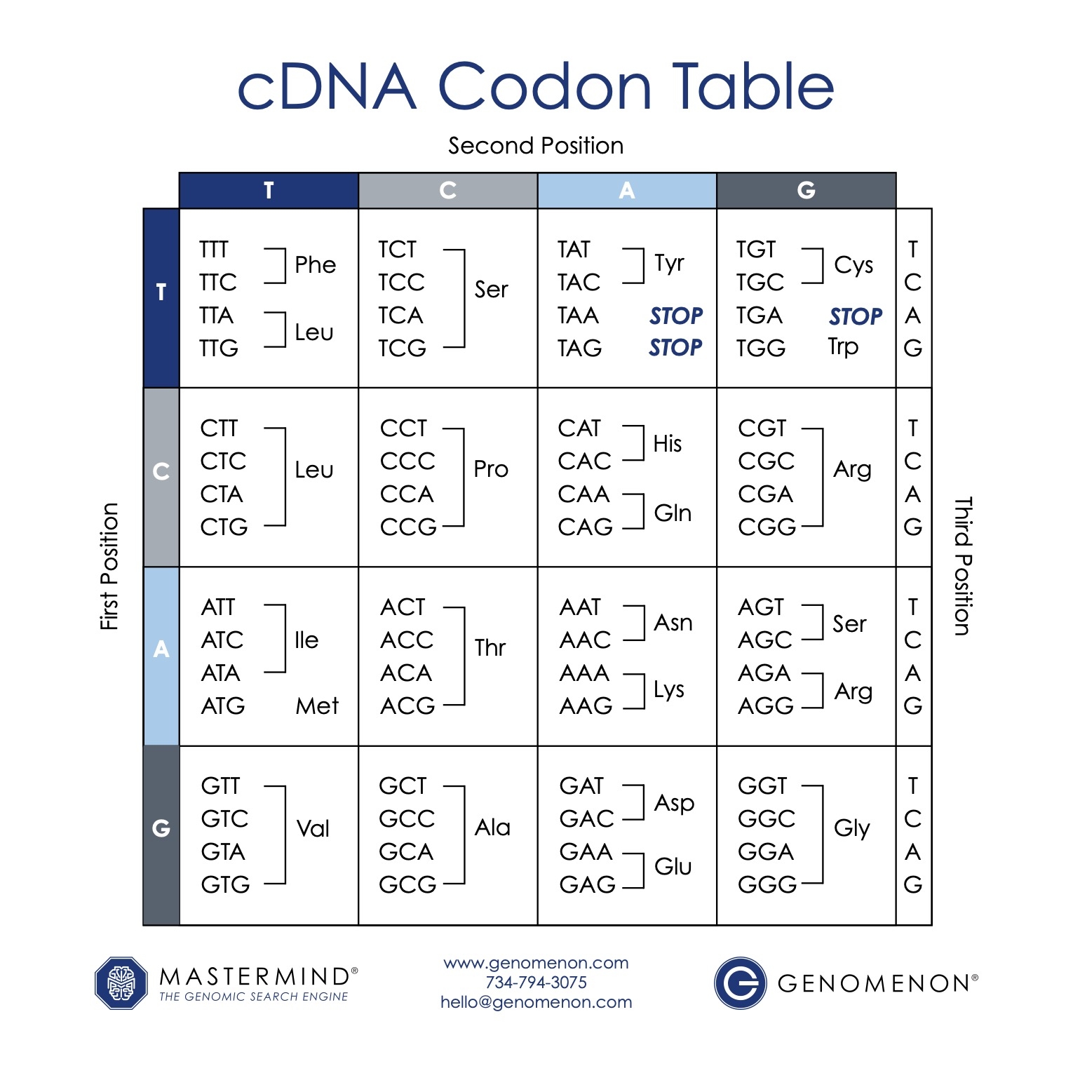 Codon Chart post form 