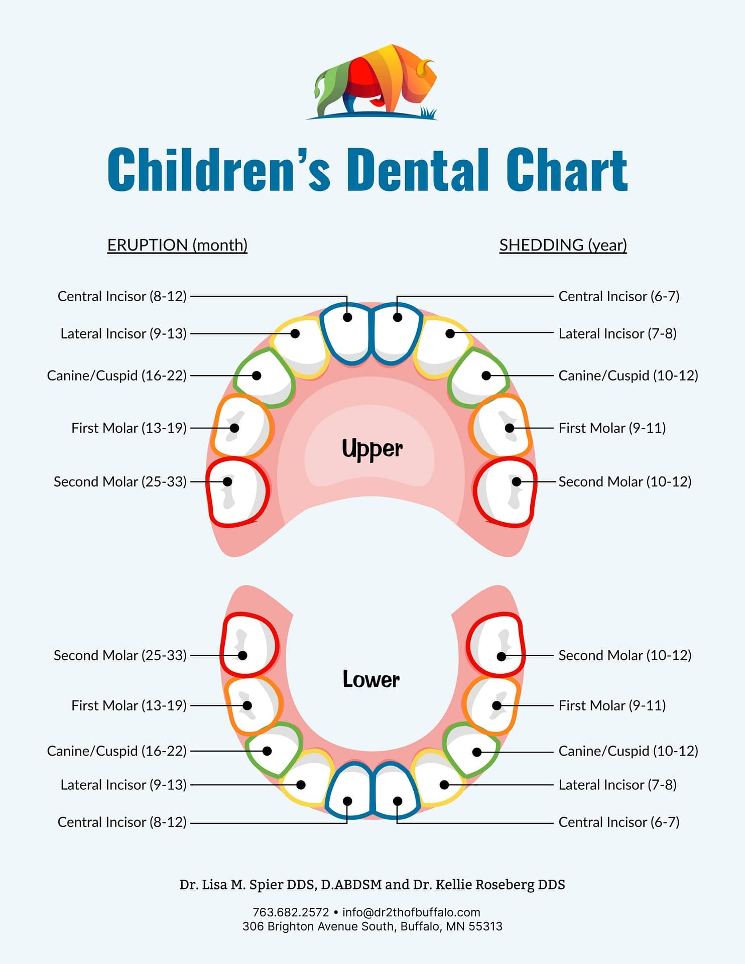 Printable Tooth Numbering Chart Printable Tooth Numbering Chart