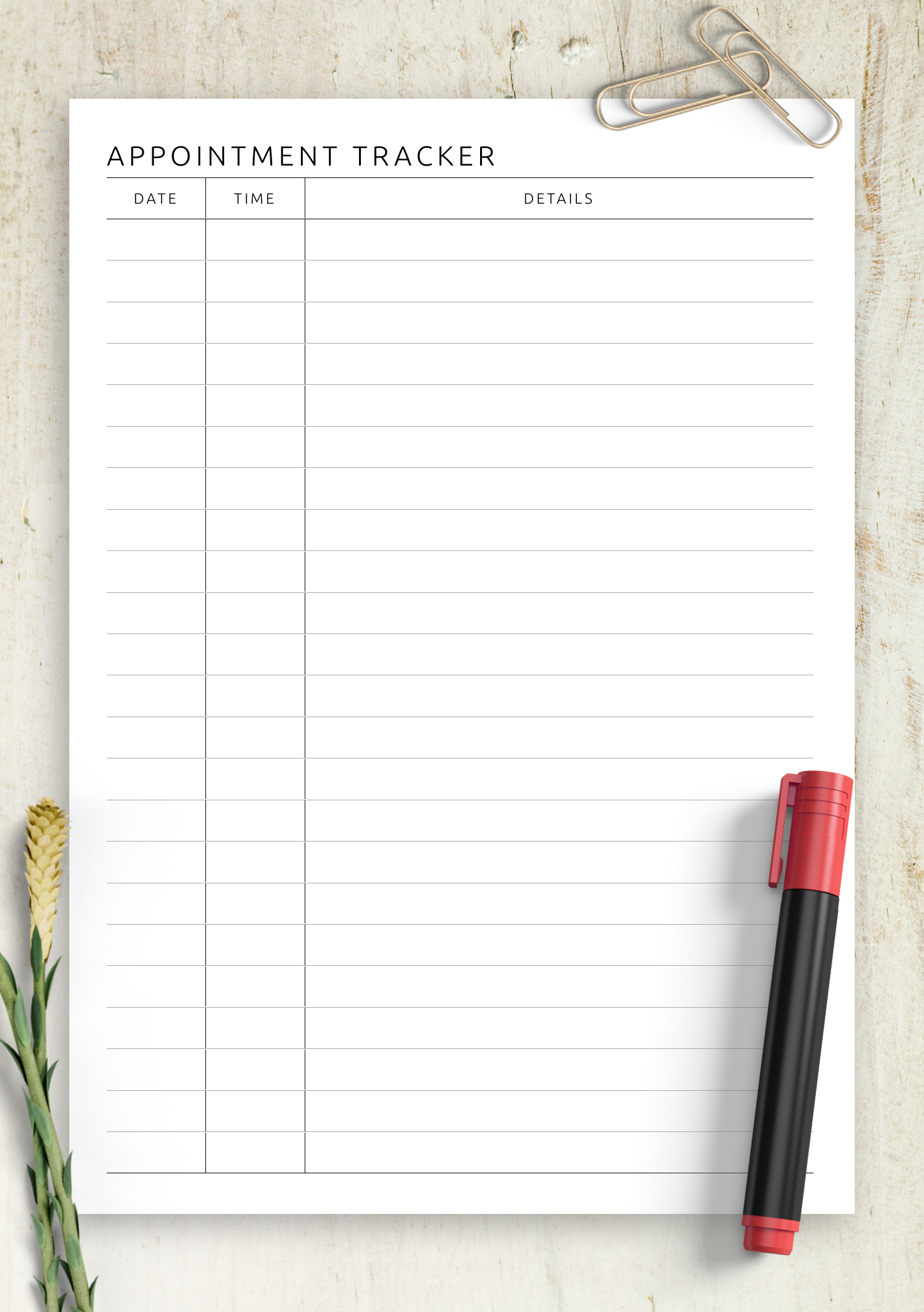 Appointment Printable Sheet