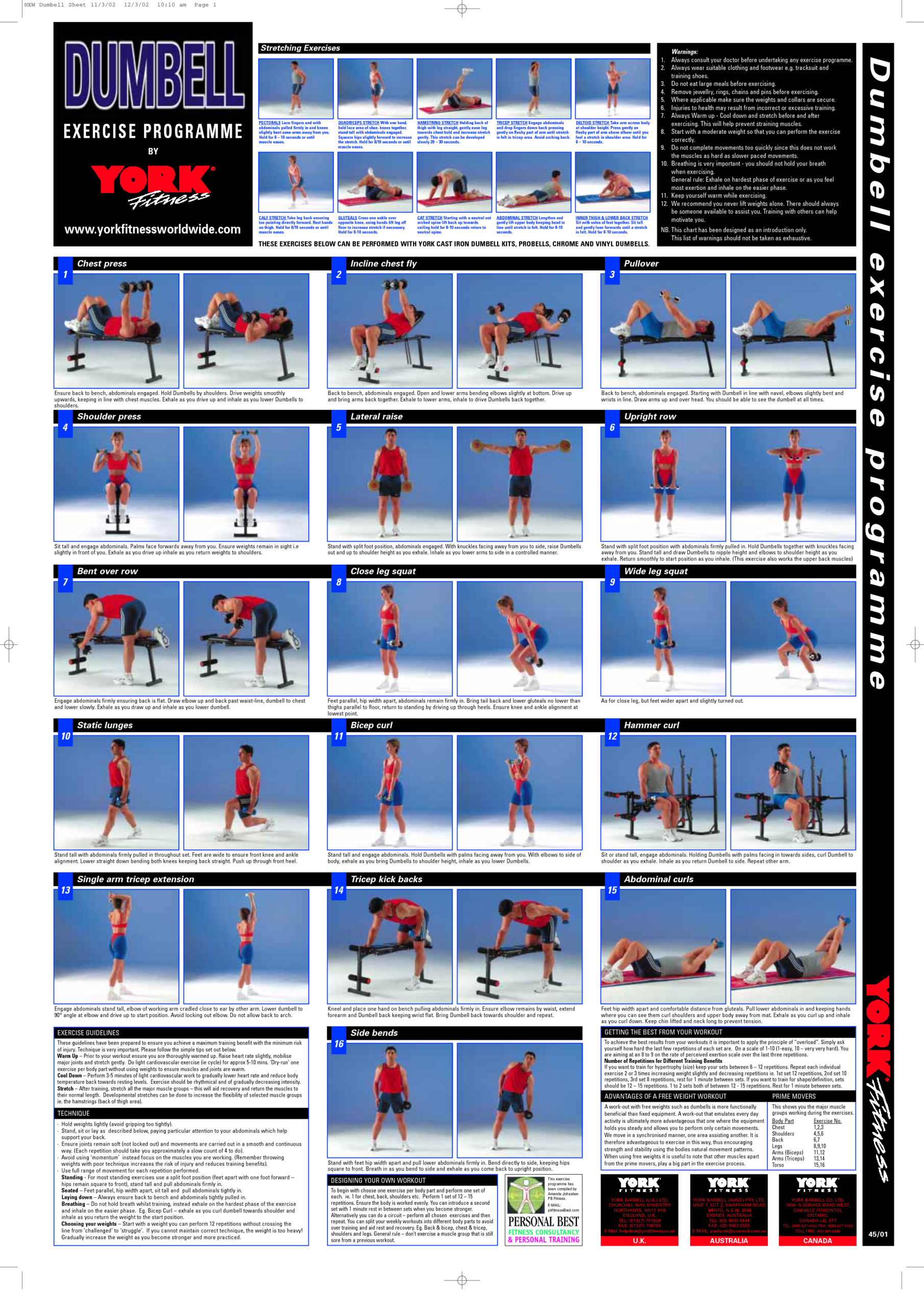 Dumbbell Exercises Chart 10 Free PDF Printables Printablee