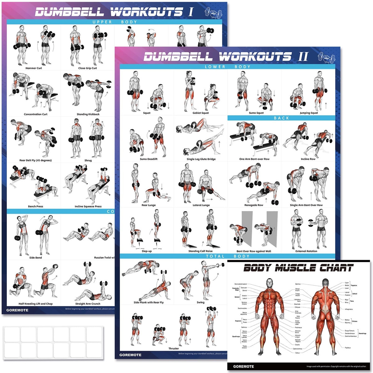 Dumbbell Workout Poster Set 2 Pack Workout Charts For Home Gym Volume I U0026