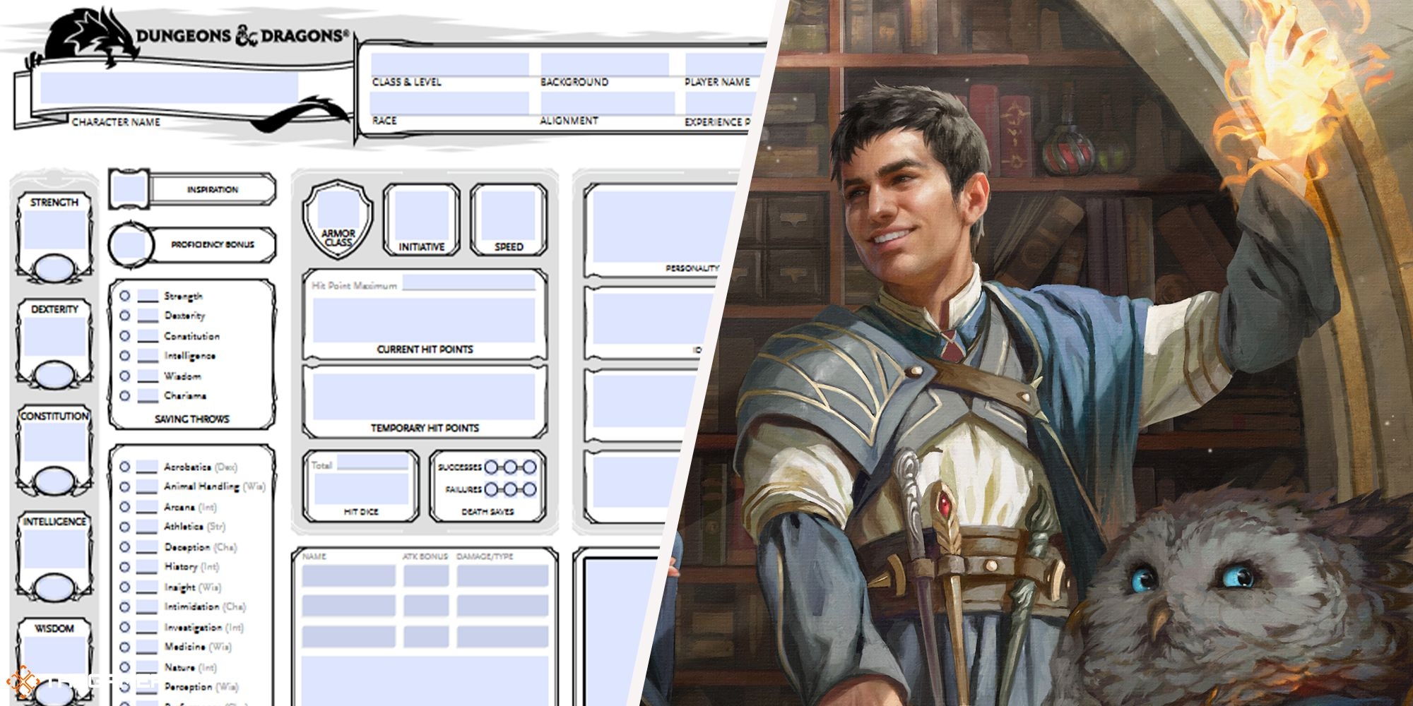 Dungeons Dragons How To Fill Out A DnD Character Sheet