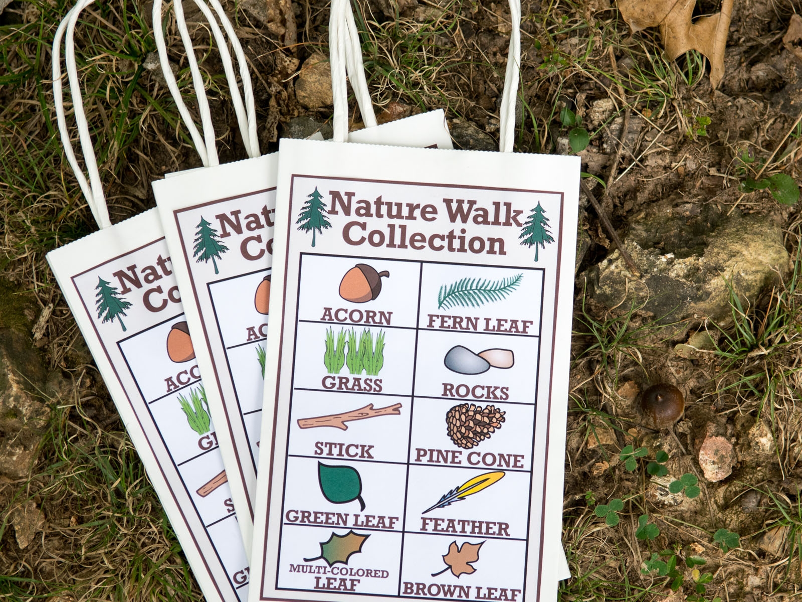 Engaging Nature Walk Ideas For Kids Printable Activity Sheet Nifty Mom Engaging Nature Walk Ideas For Kids Printable Activity Sheet Nifty Mom