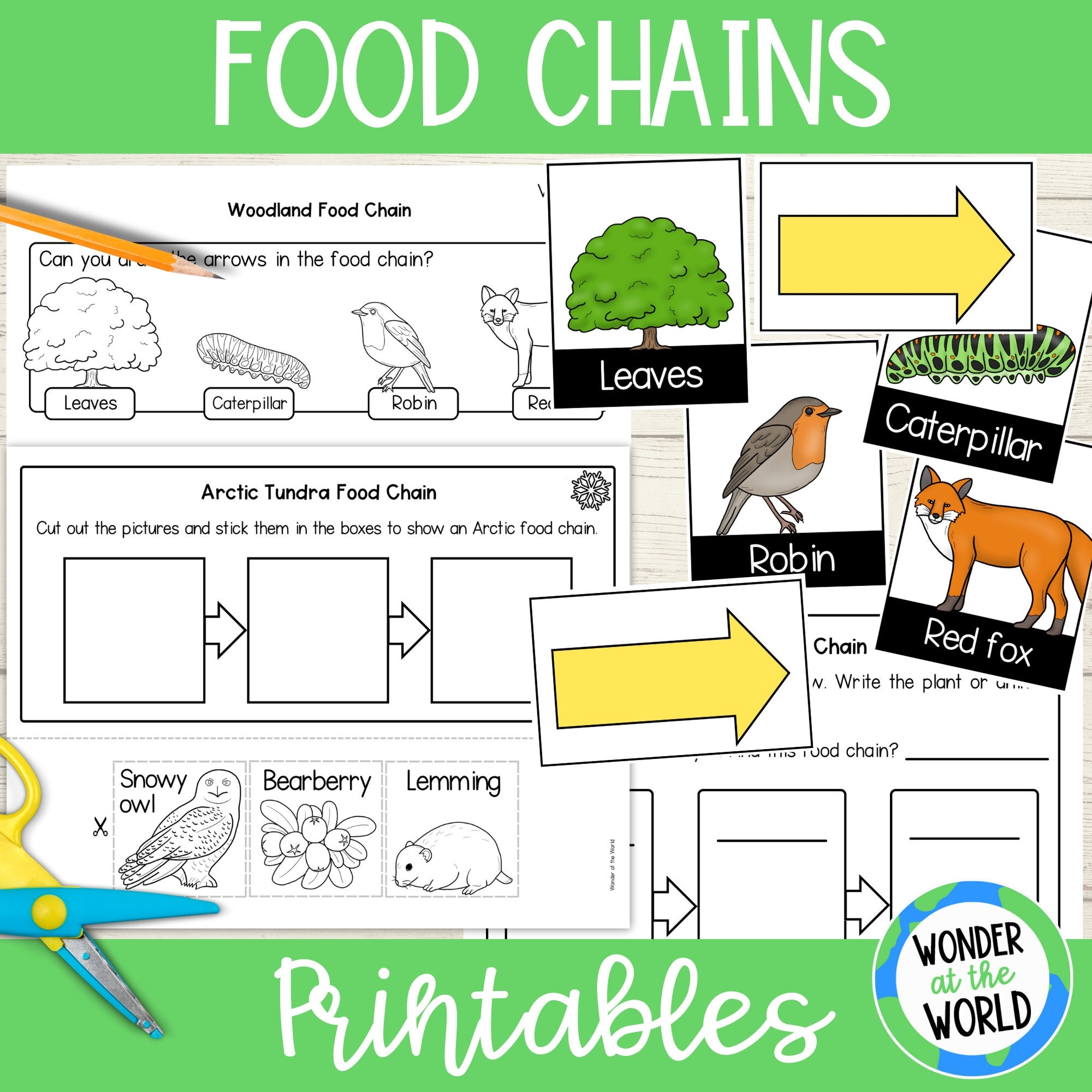 Printable Food Chain Worksheets