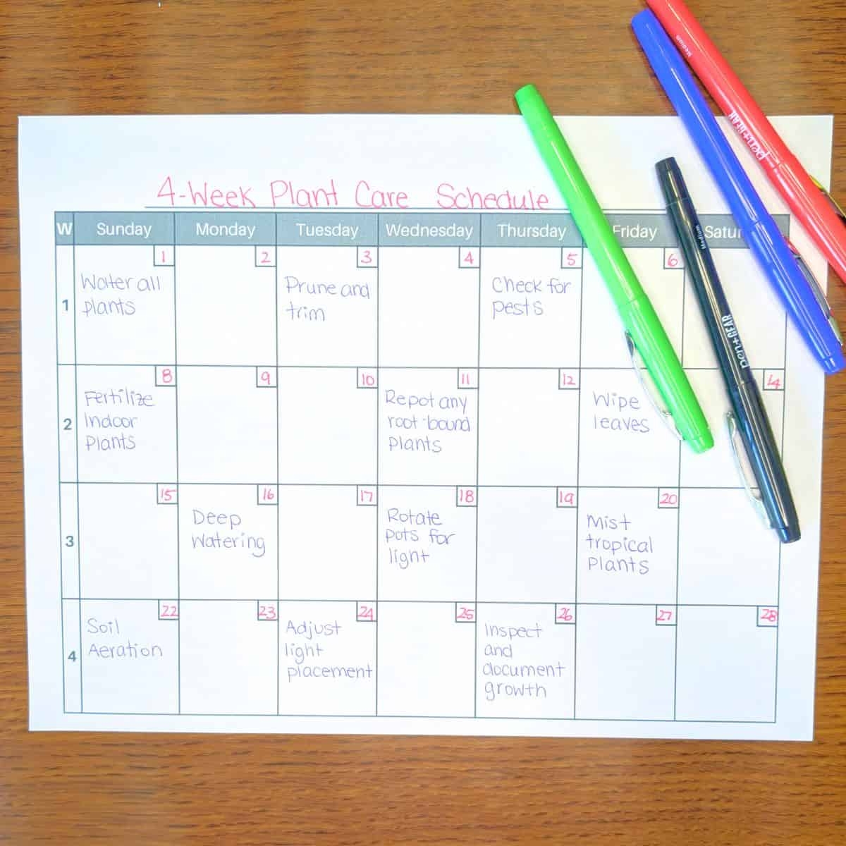 Printable 4 Week Calendar