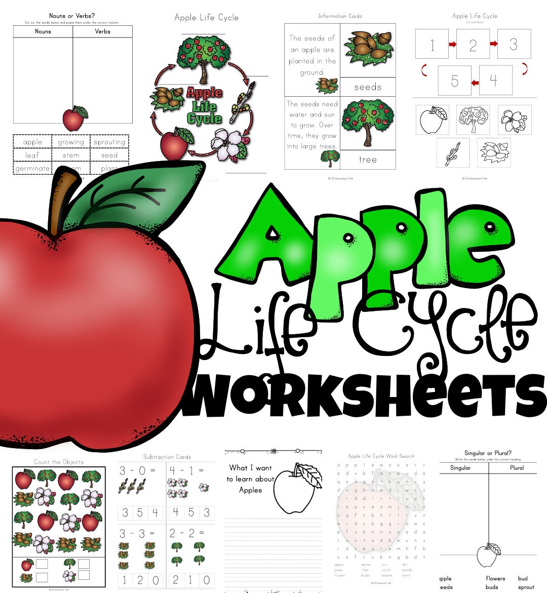 FREE Apple Life Cycle Printable Worksheets FREE Apple Life Cycle Printable Worksheets