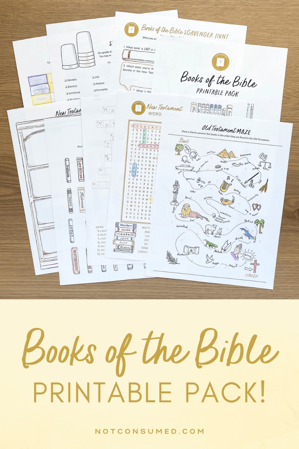 Bible Activity Sheets Free Printable