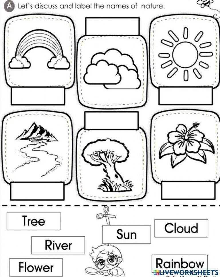 Free Nature Worksheet Download Free Nature Worksheet Png Images Free Worksheets On Clipart Library