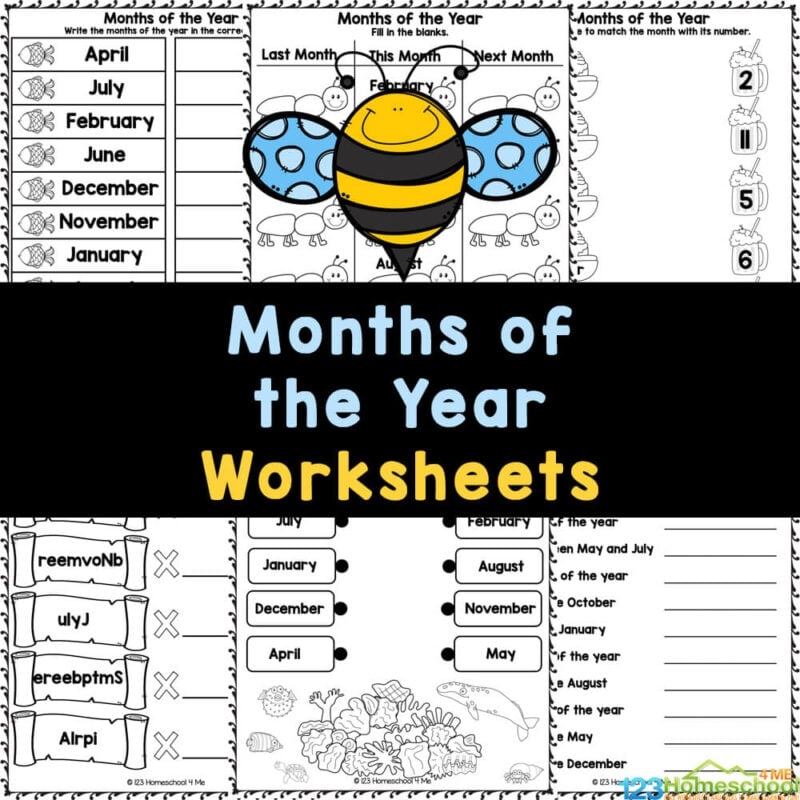 FREE Printable 12 Months Of The Year Worksheets