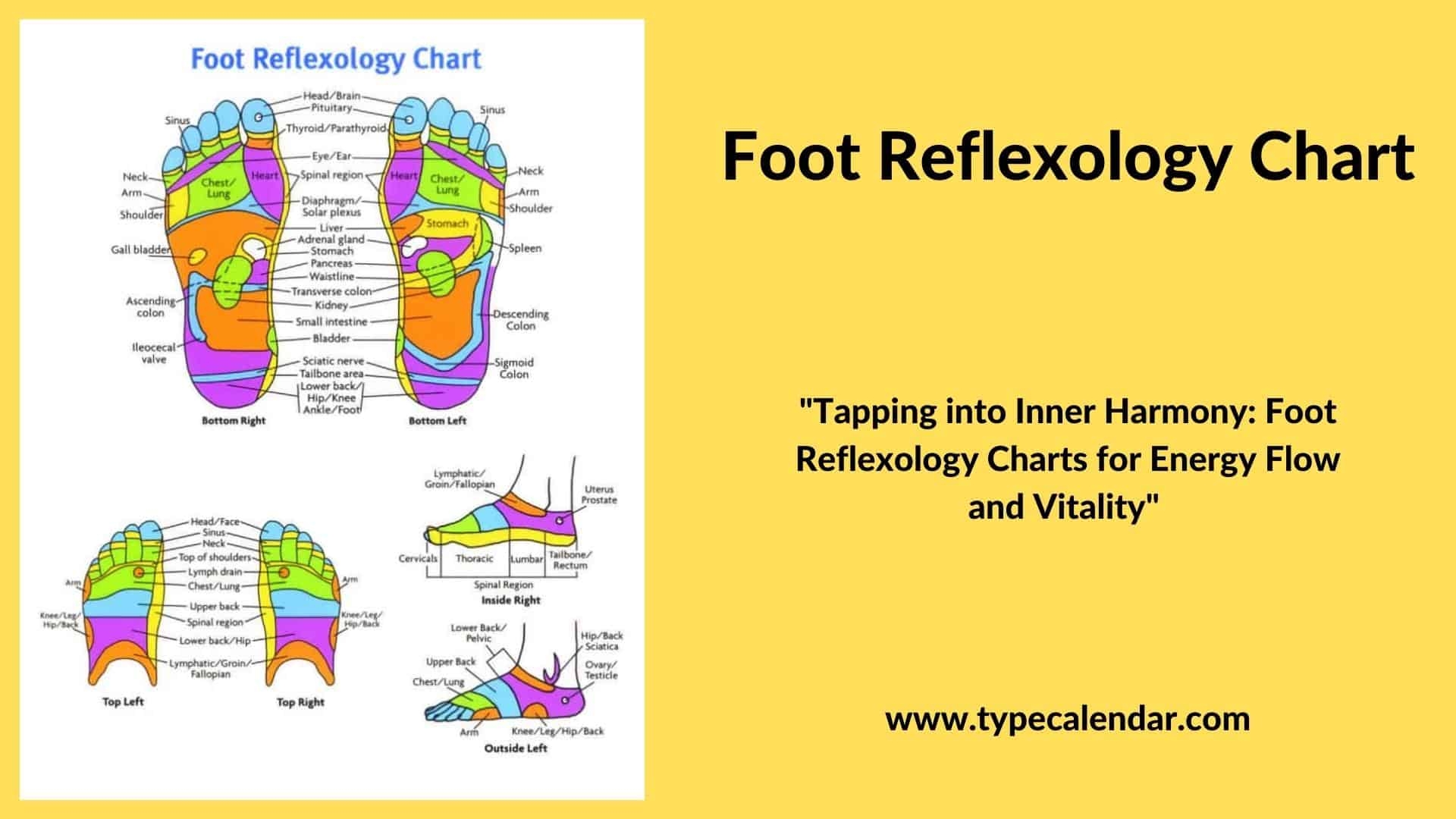 Free Printable Foot Reflexology Chart Left Right Female Baby Real