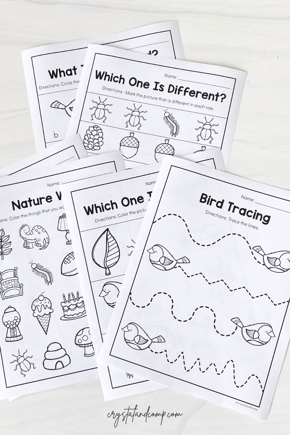 Free Printable Nature Worksheets
