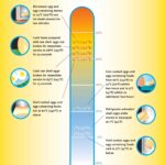 Free Restaurant FDA Safe Food Temperatures Labor Law Poster 2026