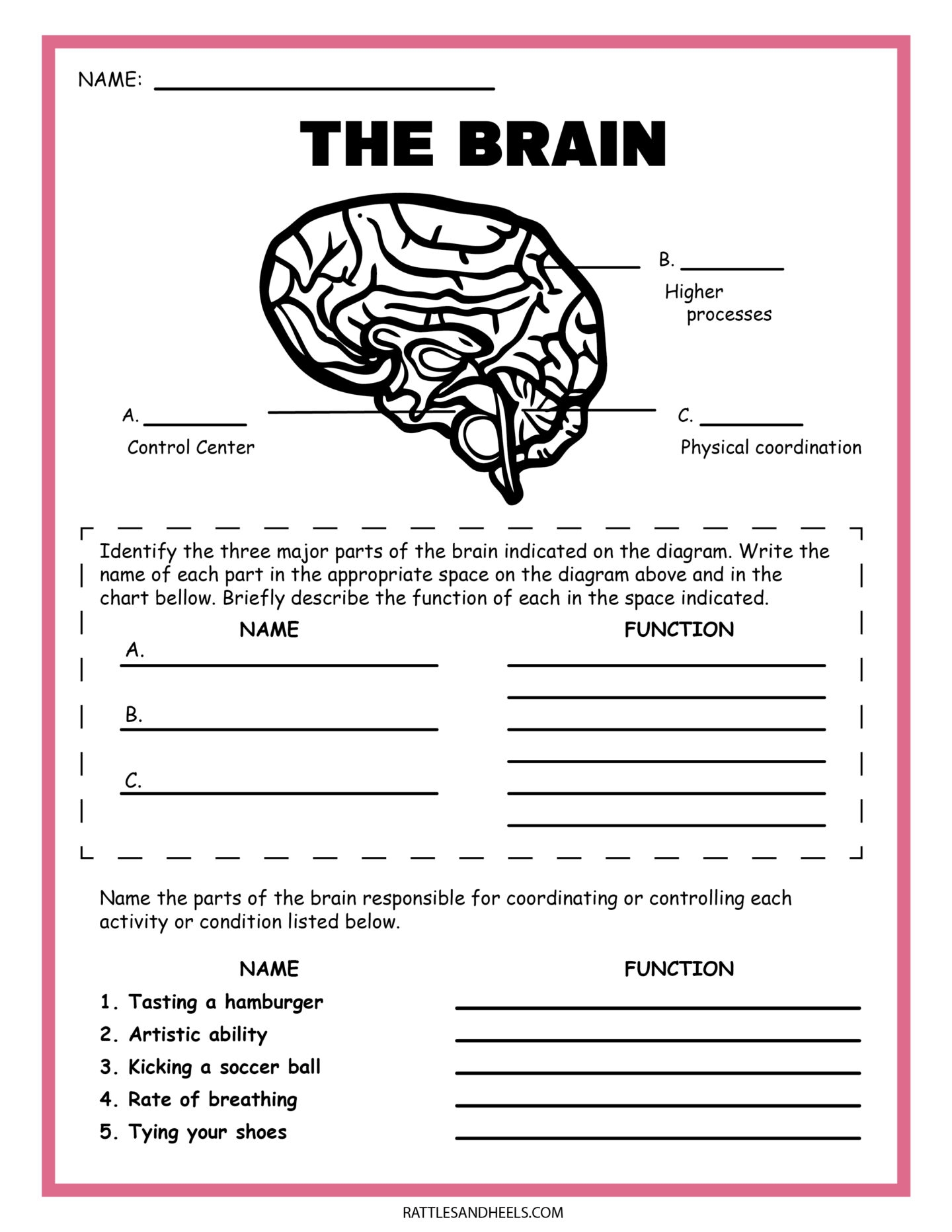 Free Printable Science Worksheets For Kindergarten