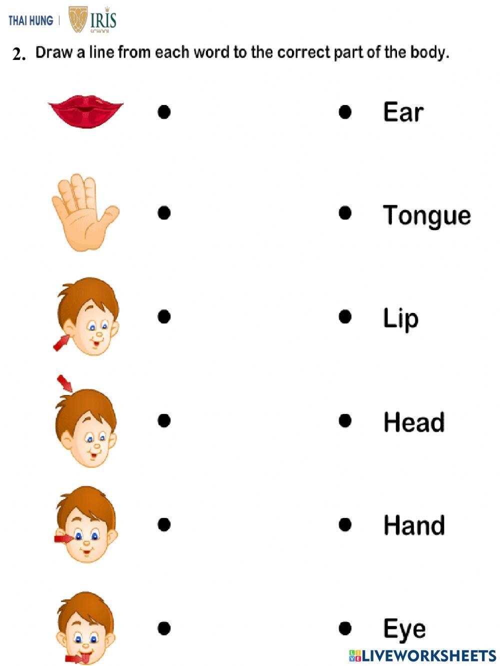 Fun Learning English Worksheet Worksheets Library