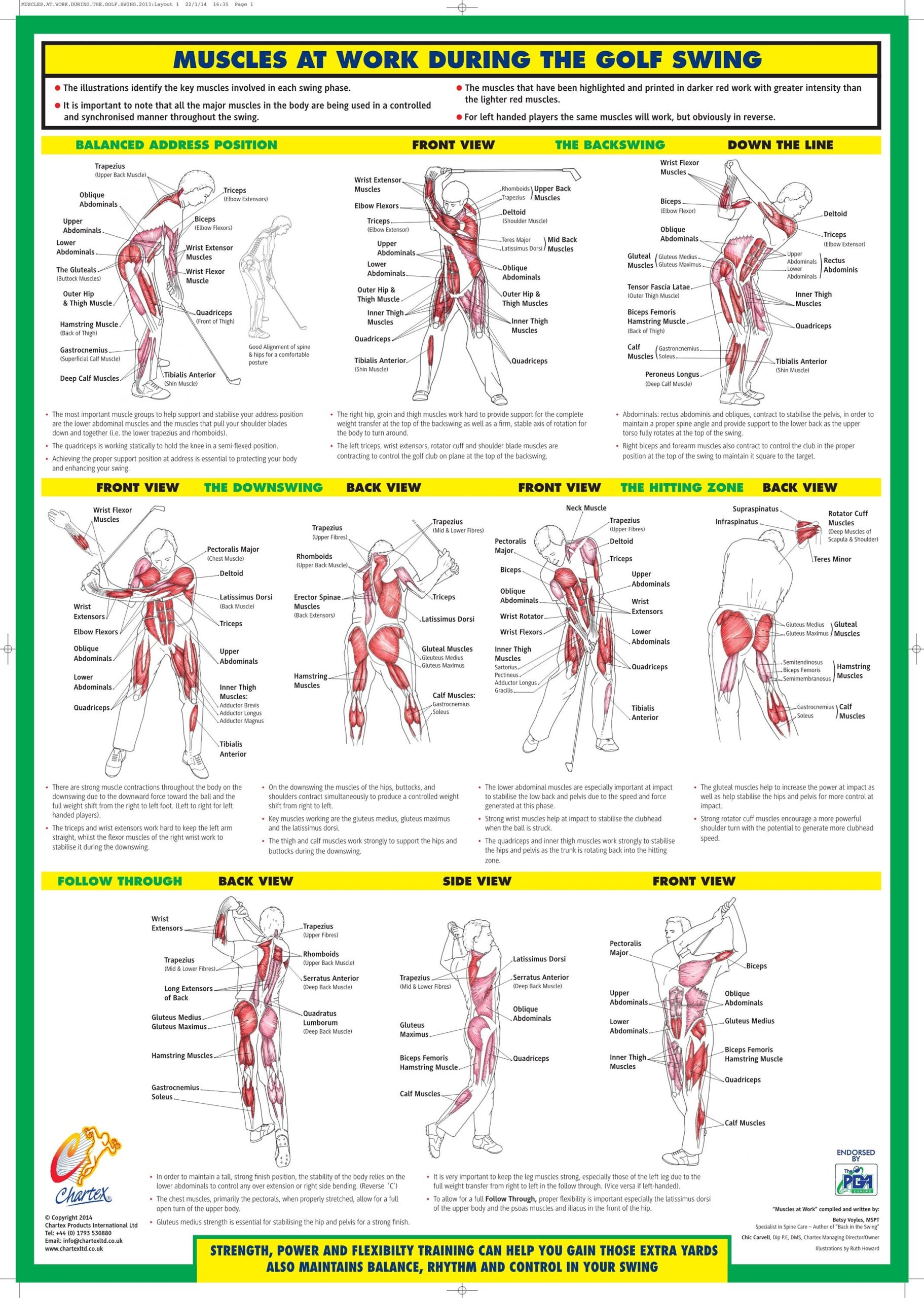 Golf Swing Training Poster Golf Instruction Chart Etsy Australia