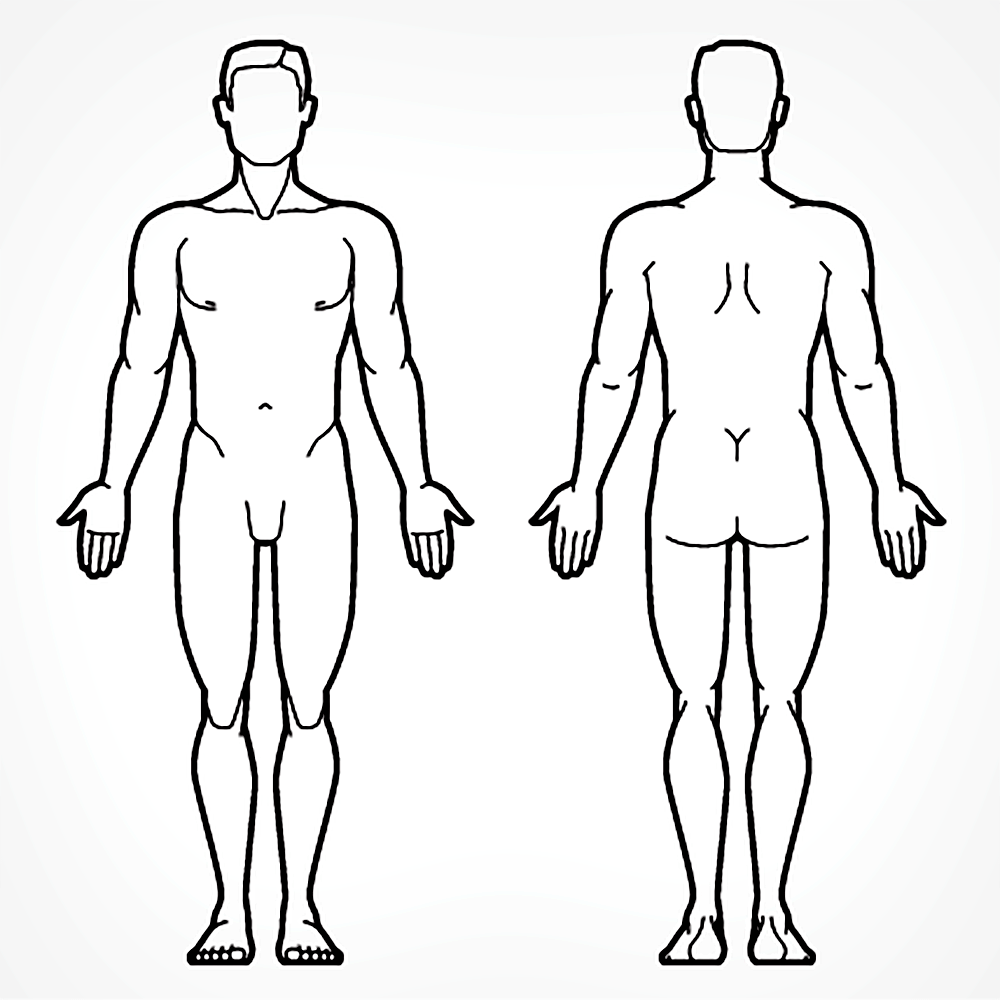 Human Anatomy Template Human Anatomy Template