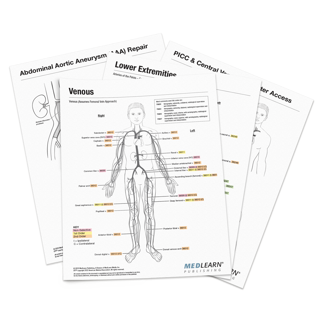 Printable Body Code Chart Pdf
