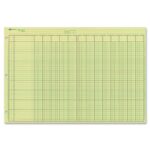 Ledger Paper Sheets National Brand Analysis Pad 13 Column Green Paper 50 Sheets 11x16 375 Inches Side Punched Analysis Paper