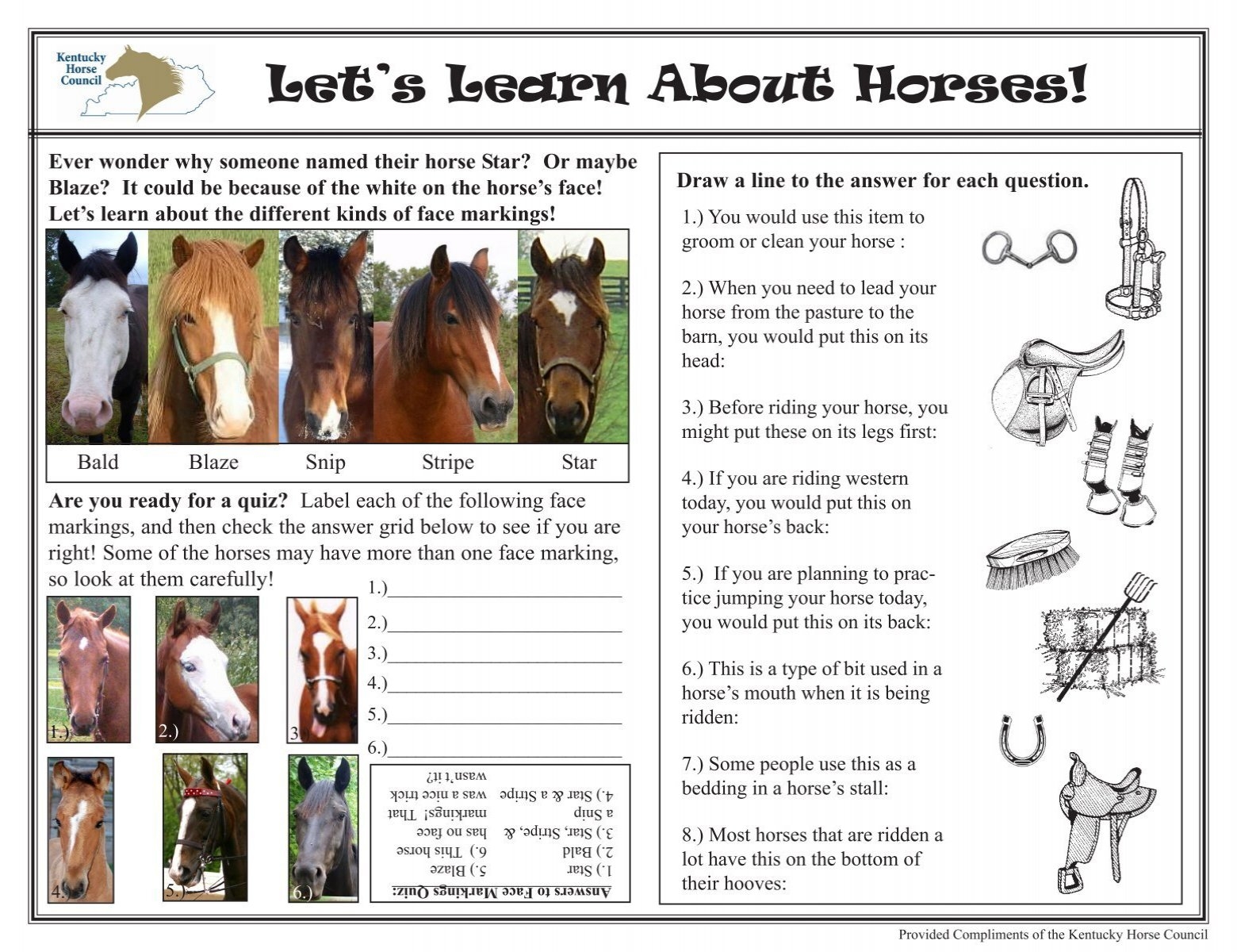 Horse Printable Worksheets
