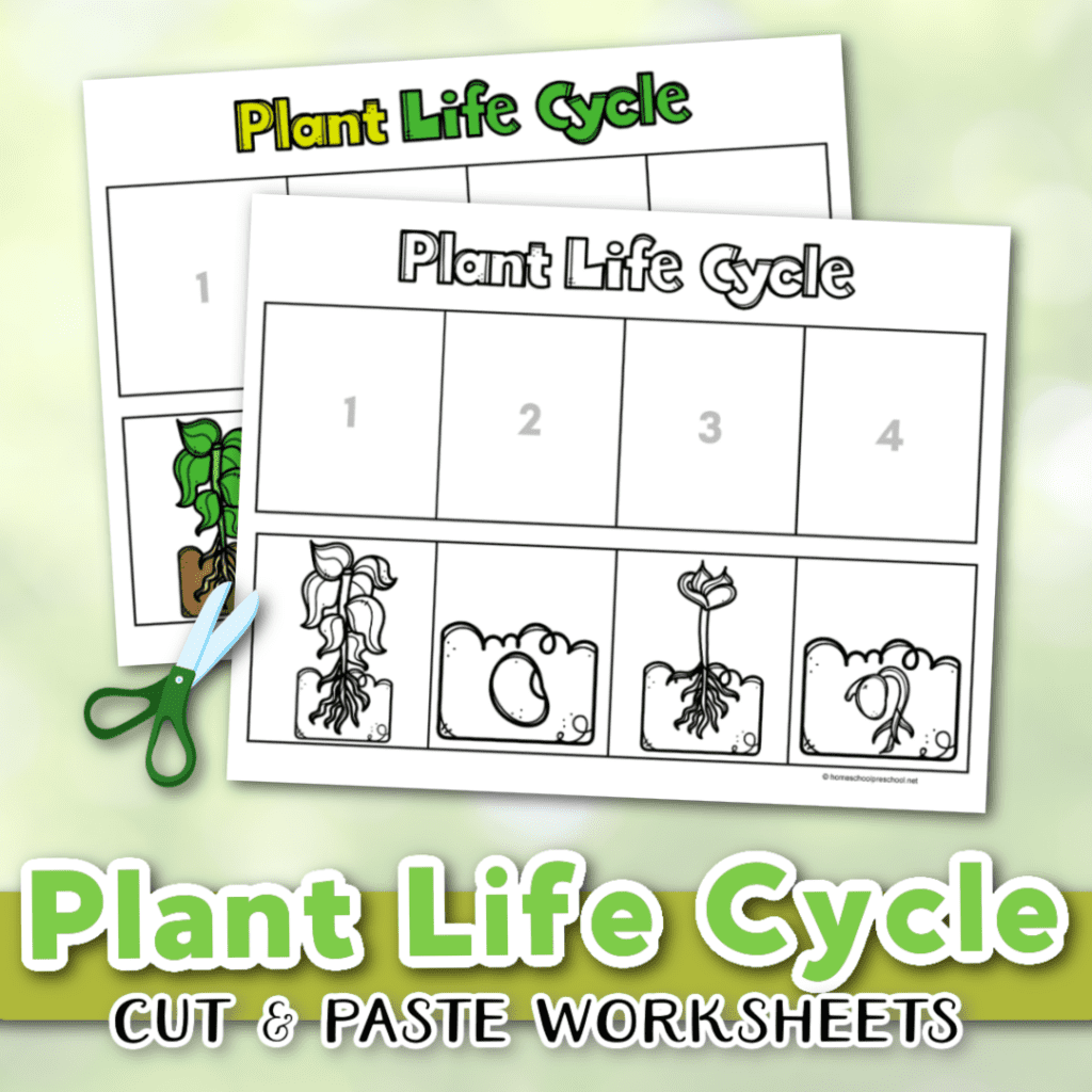 Life Cycle Of A Plant Worksheet Download Now Worksheets Library