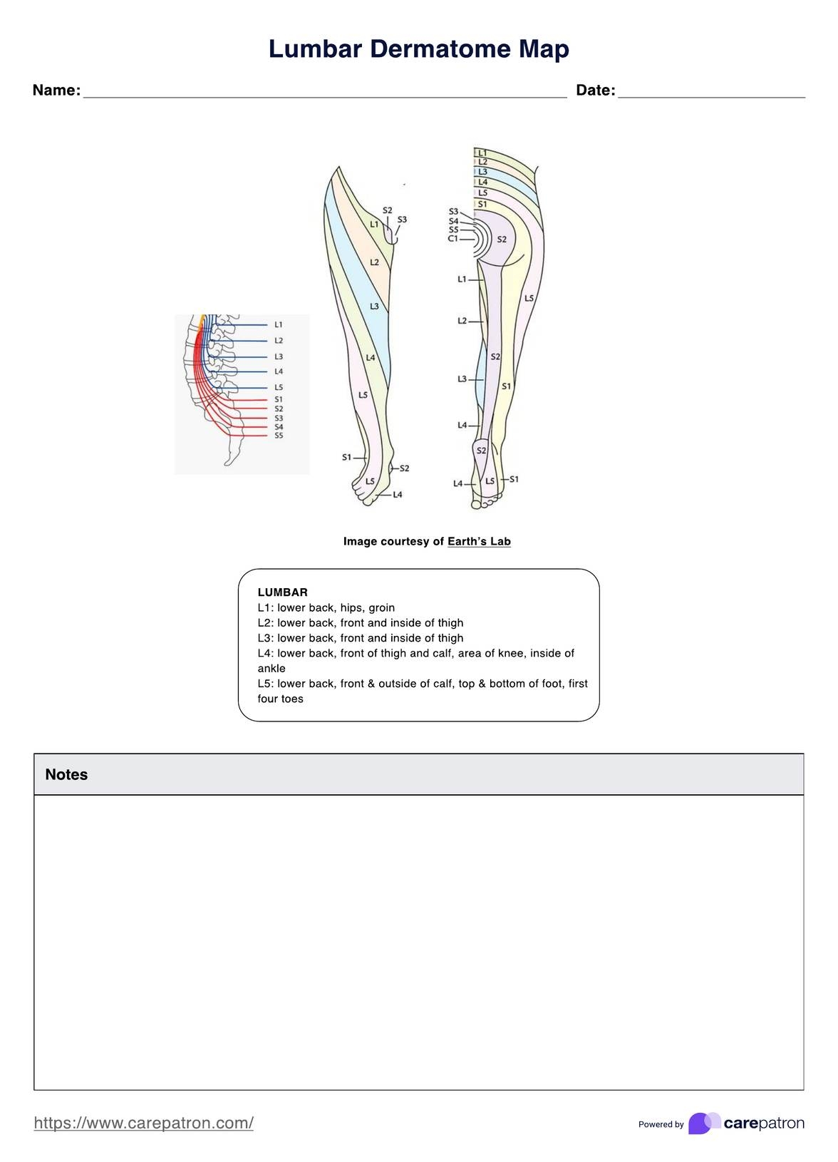 Printable Blank Dermatome Map