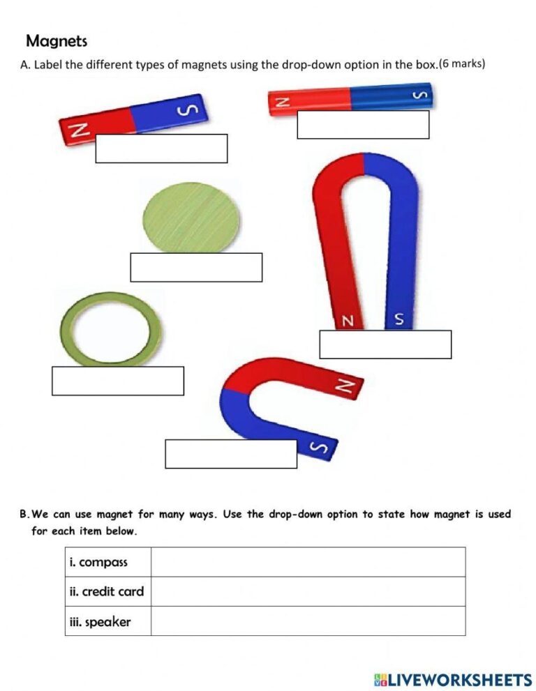 Magnet Worksheet Top For Kids