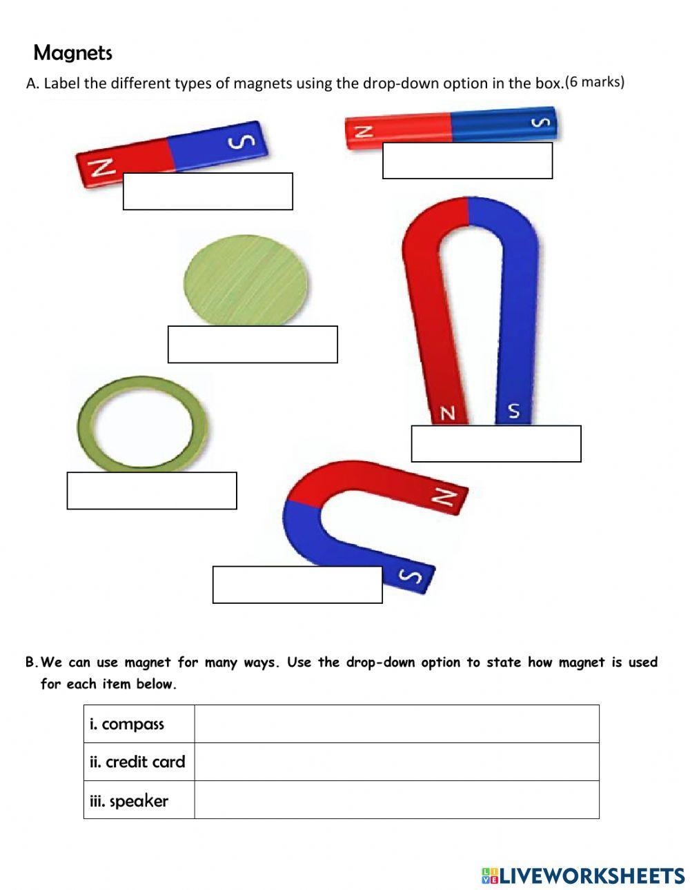 Magnet Worksheet Top For Kids