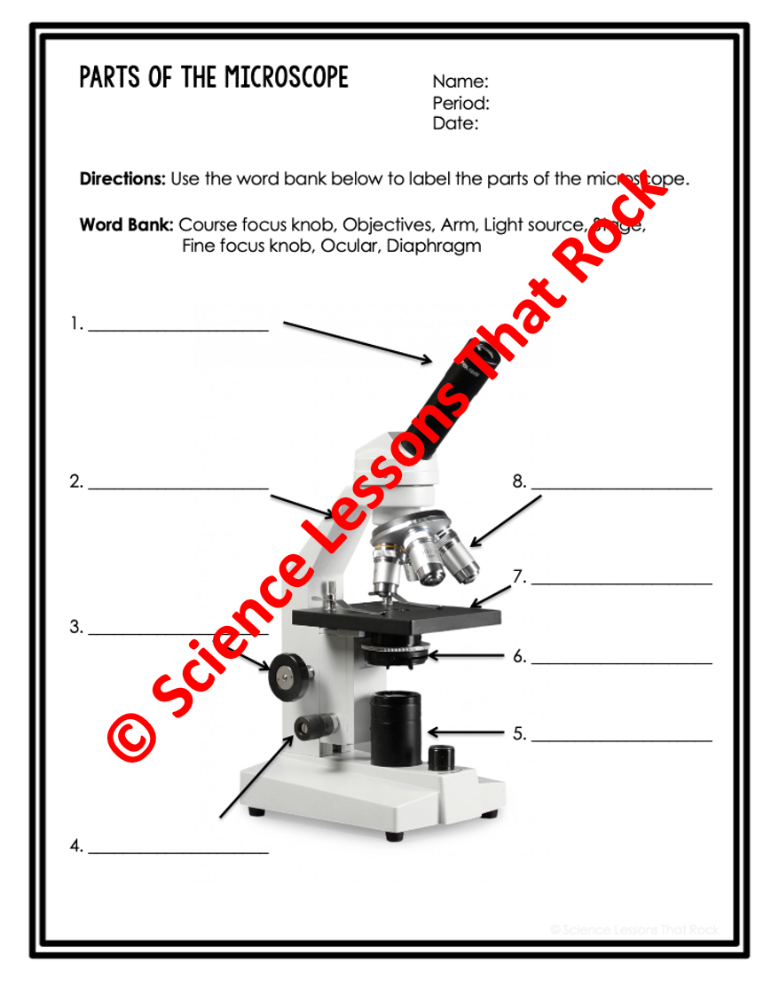 Printable Microscope Parts Worksheet