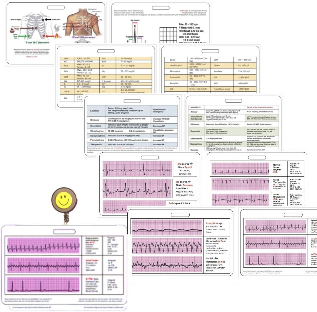 MOMOZEE EKG Nursing Reference Badge Cards Pink EKG Lab Cardiac Drips 12 Lead ECG Placement Cheat Sheets Buy Now In International GoSupps