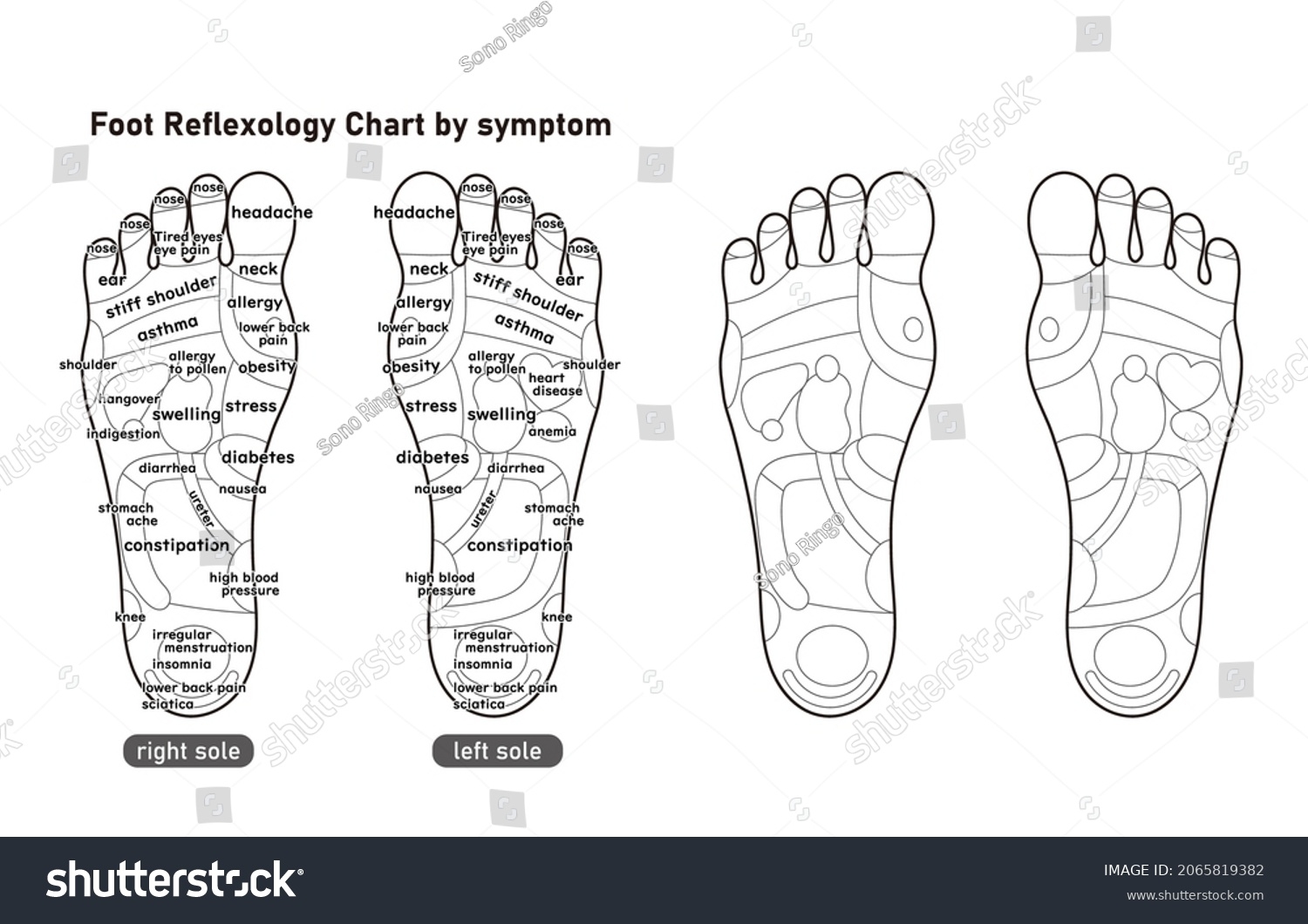 Monochrome Illustration Sole Reflex Zone By Stock Vector Royalty Free 2065819382 Shutterstock