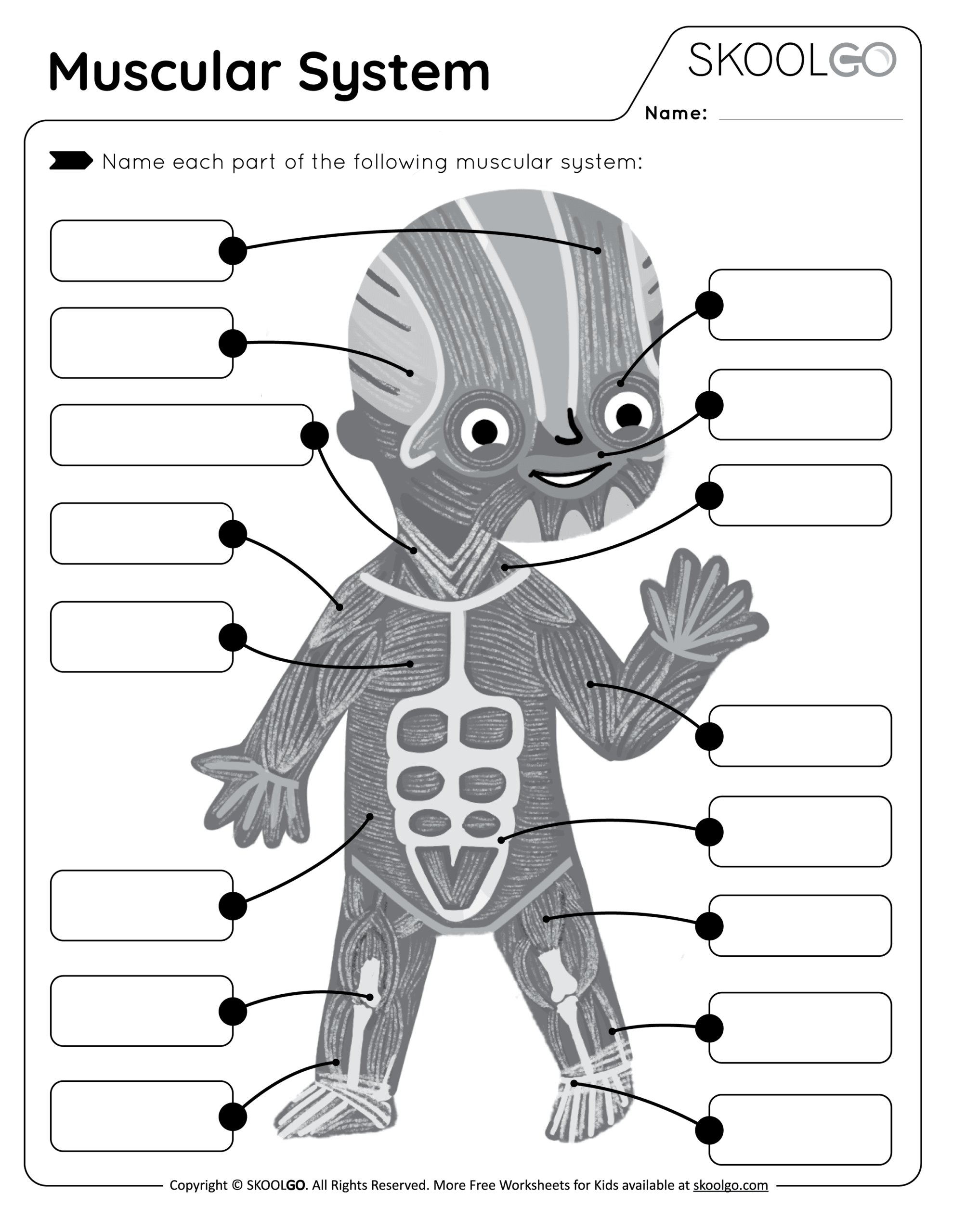 Muscular System Free Worksheet For Kids SKOOLGO