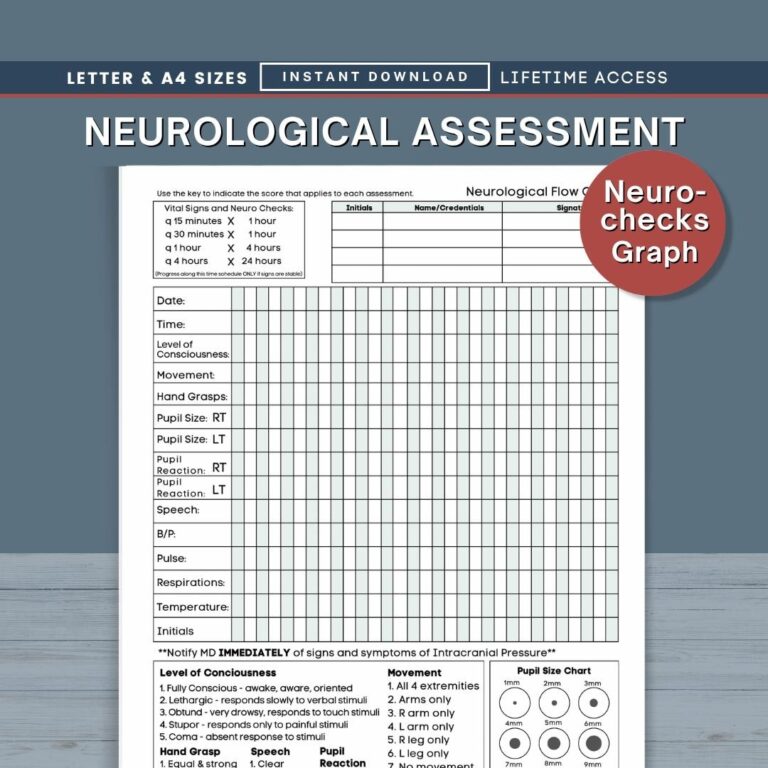 Neurological Assessment Neuro checks Flow Sheet Home Health And Hospice Nursing Neurology Status Palliative Care Form PDF Download wc Etsy Israel