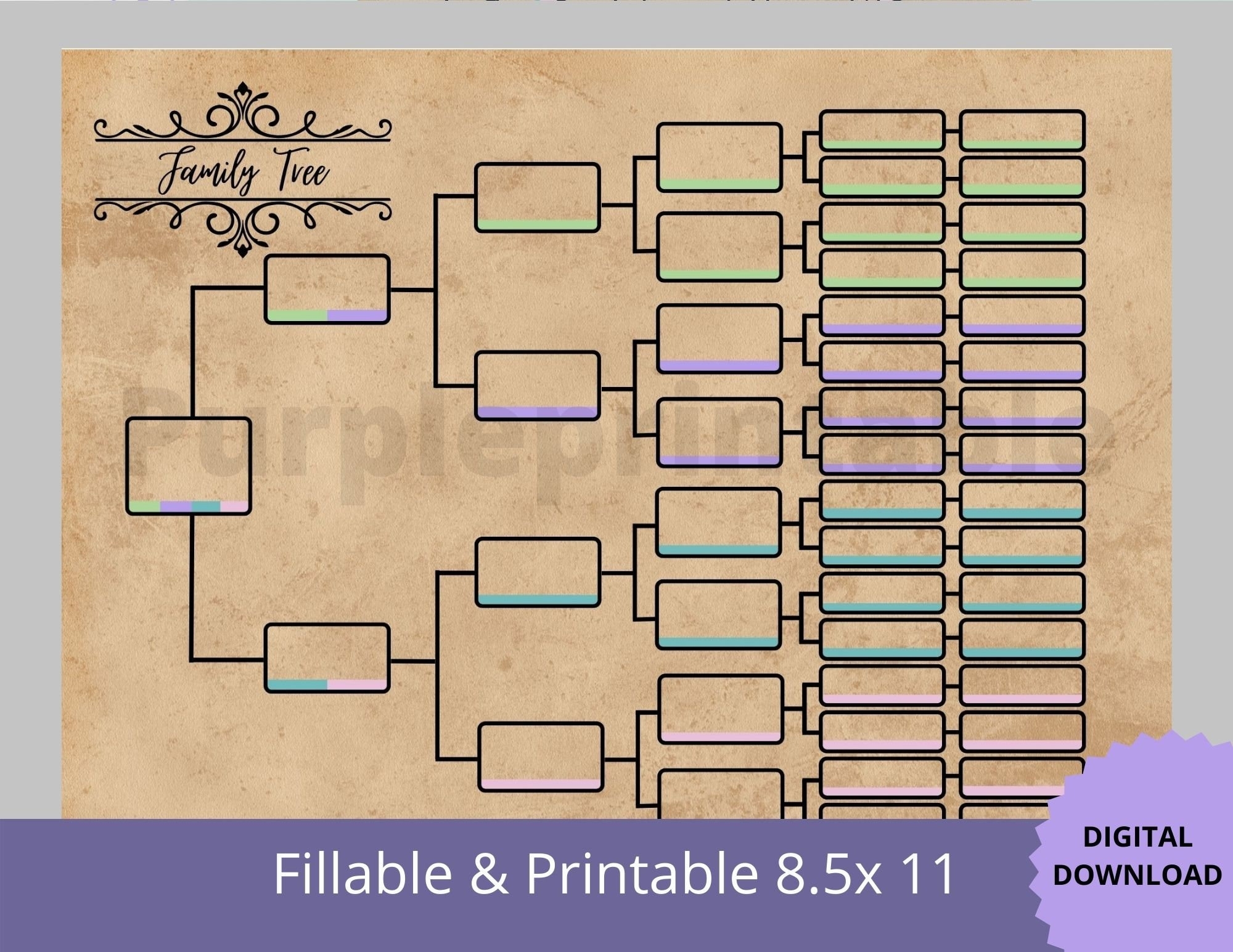 Pedigree Chart03 Color Coded 6 Generation Family Tree Chart Pedigree Chart Genealogy Template Ancestral Color Coded Chart Etsy