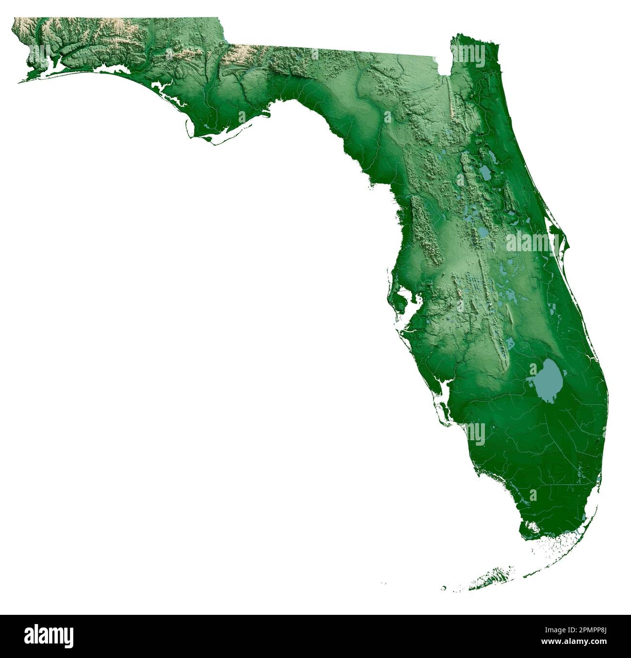 Physical Map Of Florida Cut Out Stock Images Pictures Alamy