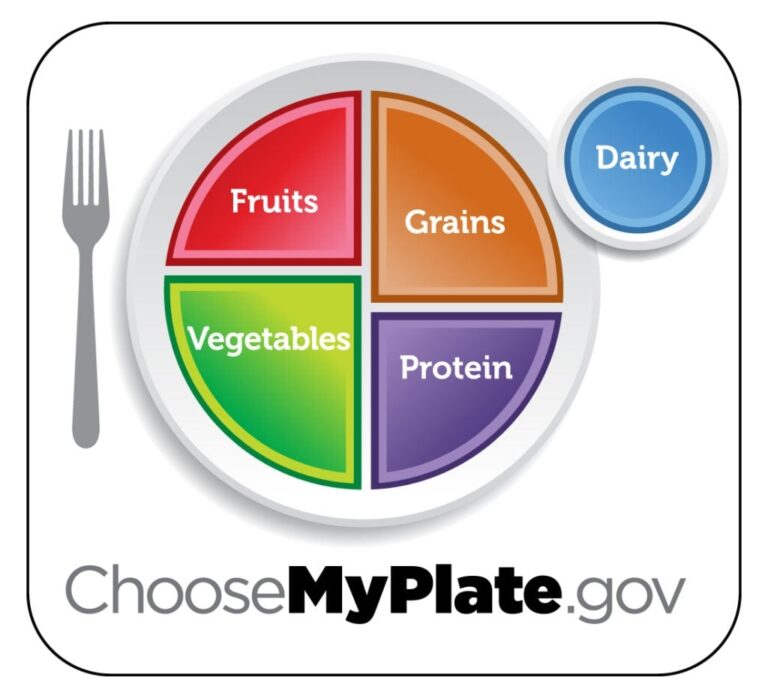 Planning Meals With MyPlate Meals Health Beet