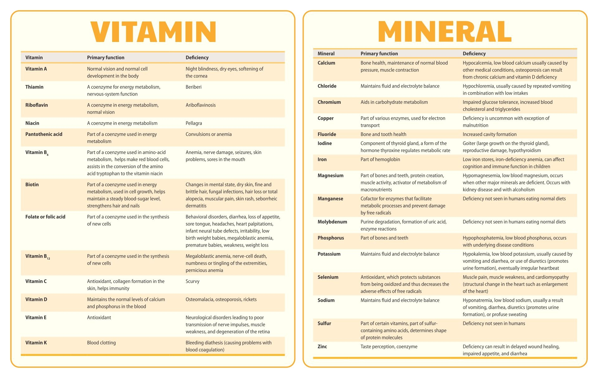 Pocket sized Vitamin Chart Vitamins Minerals Quick Reference Guides 2 Pocket Sized Health Pamphlets Pocket Sized Vitamins And Minerals Reference Chart