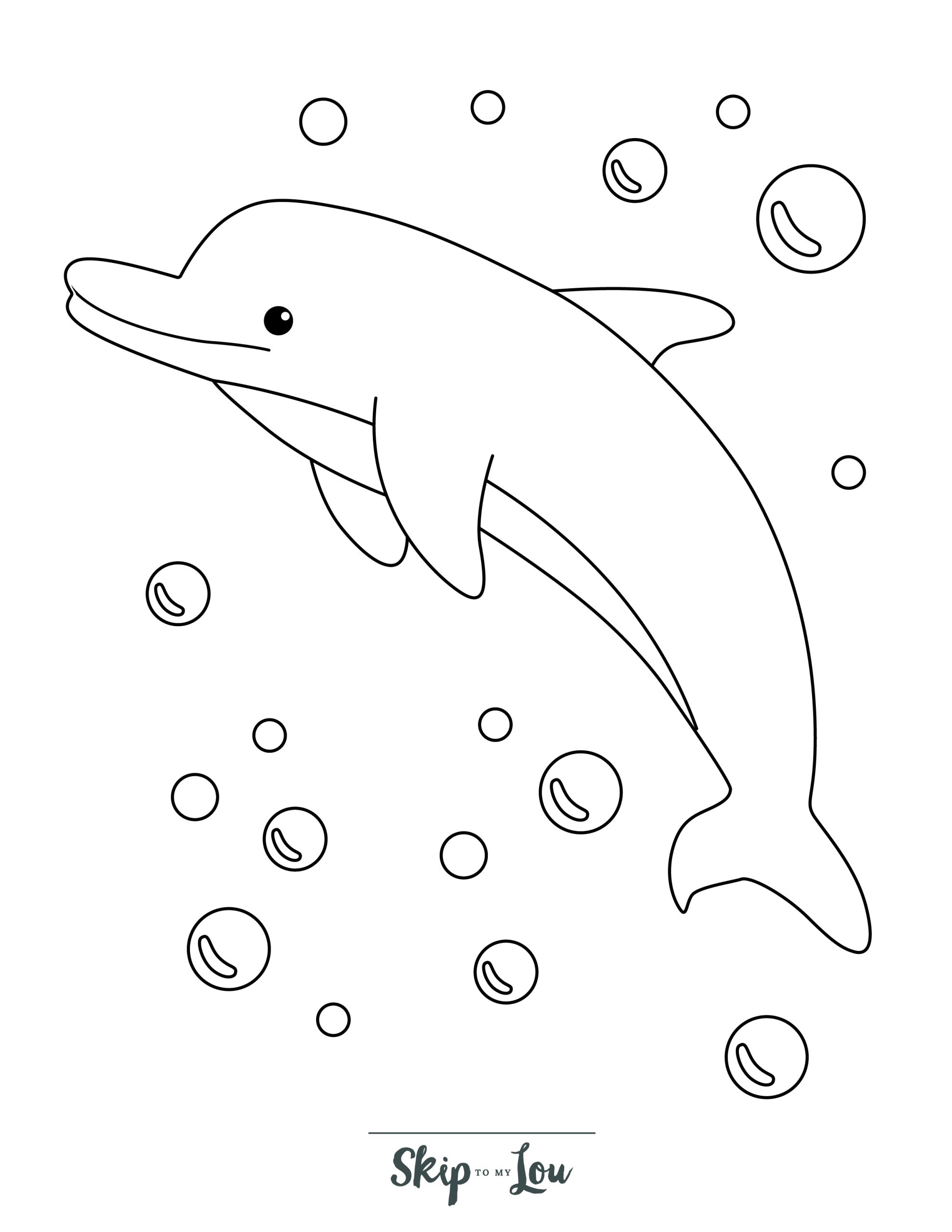 Free Printable Dolphin Worksheets
