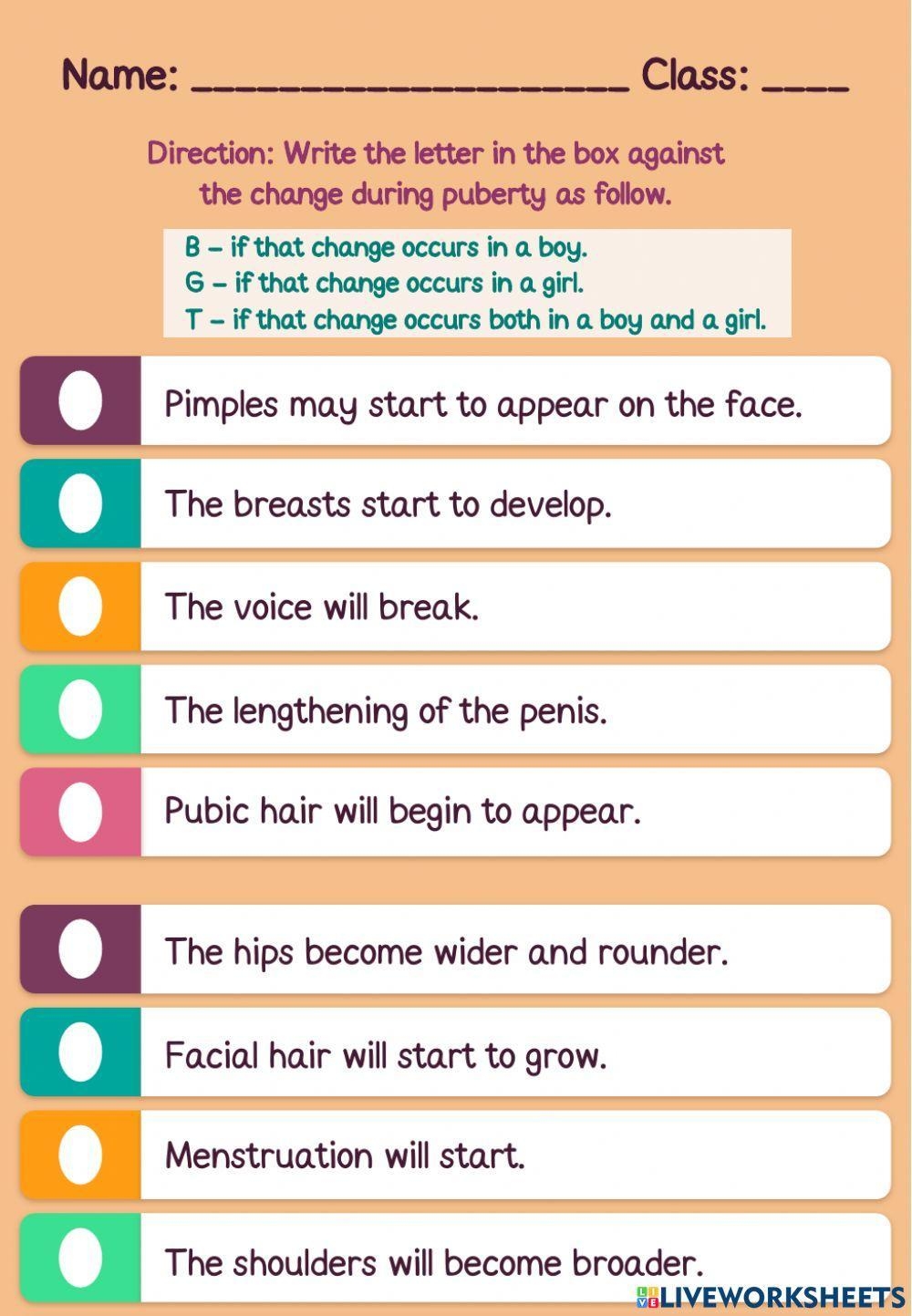 Puberty Worksheets Library